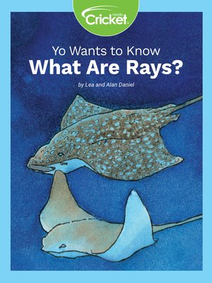 cover image of Yo Wants to Know: What Are Rays?